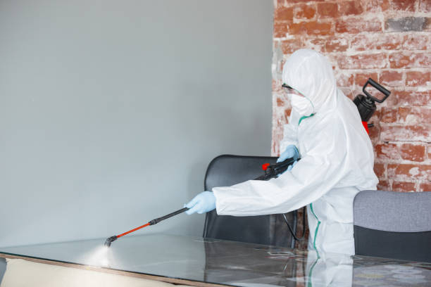 Best Residential Mold Inspection & Testing  in Mountain Home, ID